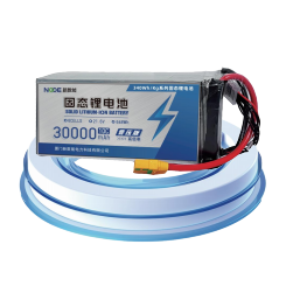 UAV solid state lithium battery P21.6V30NW - battery / power supply