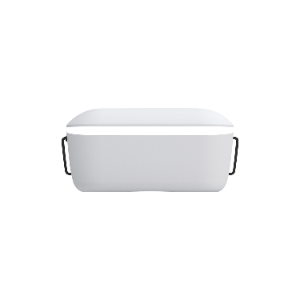 Goggles L - Flight controller with FPV system