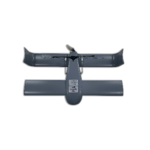 The Grey Swallow - Drones