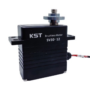 SV30-12 - Parts & Components