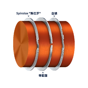 Retaining Ring - Parts & Components