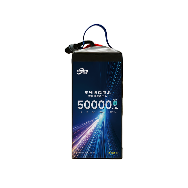 High energy density 14S 50Ah 400Wh/Kg large capacity long endurance solid-state battery - battery / power supply